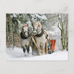 Horses Winter Carriage Slide Postcrossing Postcard