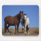 Horses with Sky Background