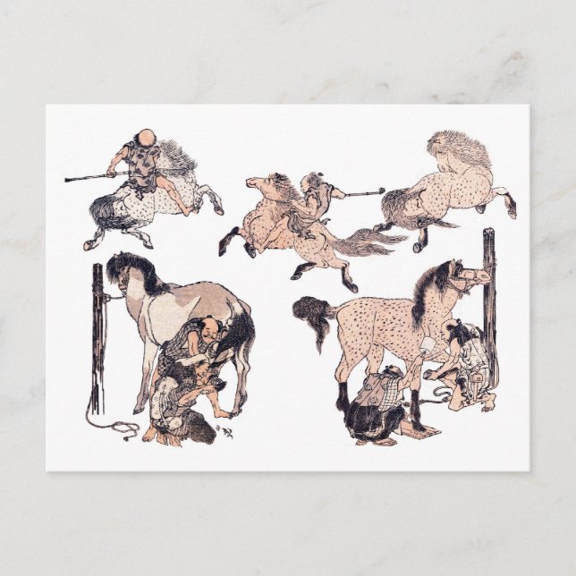 HorsesBrown Postcard (Front)