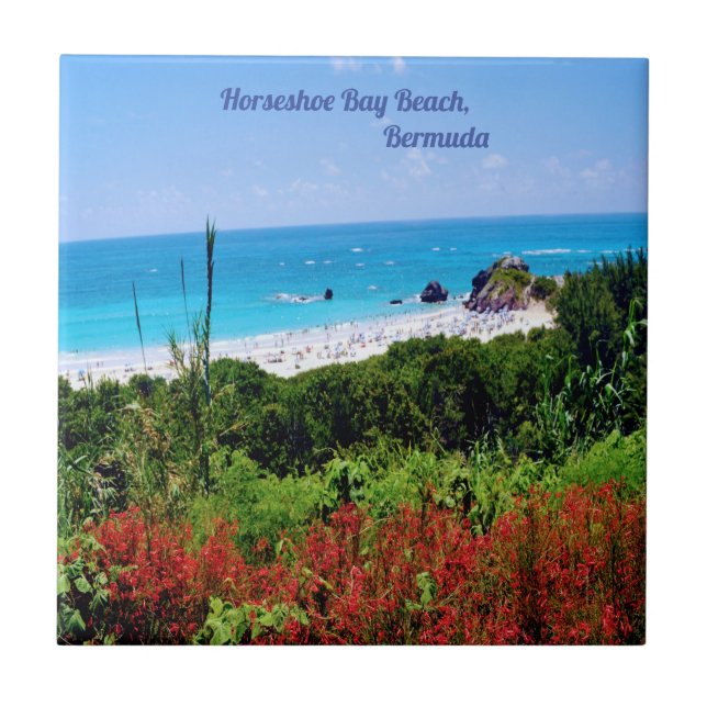 Horseshoe, Bay Beach, Bermuda  Ceramic Tile (Front)