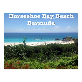Horseshoe Bay Beach, Bermuda Postcard