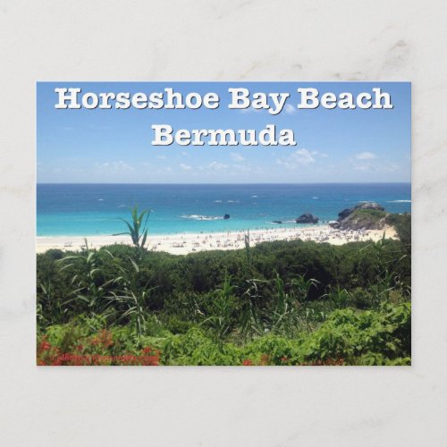 Horseshoe Bay Beach Bermuda Postcard