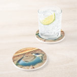 Horseshoe Bend Caynon Drink Coaster at Zazzle