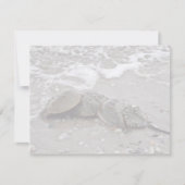 Horseshoe Crab (Front)