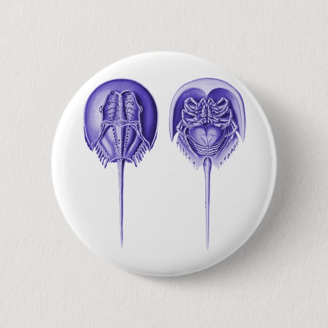 Horseshoe Crab Button (Front)