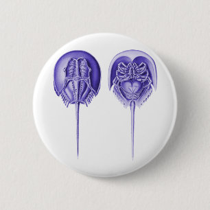 Horseshoe Crab Button