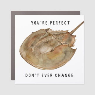Horseshoe Crab Car Magnet