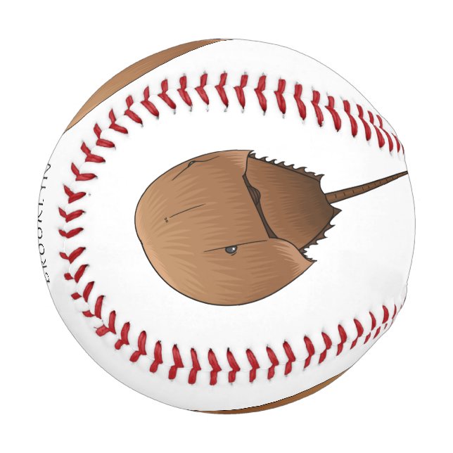 Horseshoe crab cartoon illustration baseball (Front Left)