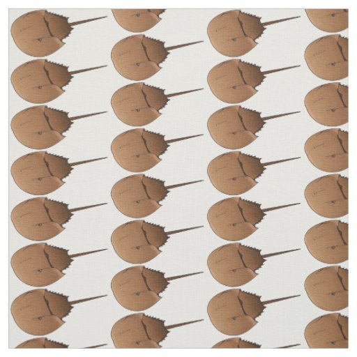 Horseshoe crab cartoon illustration fabric