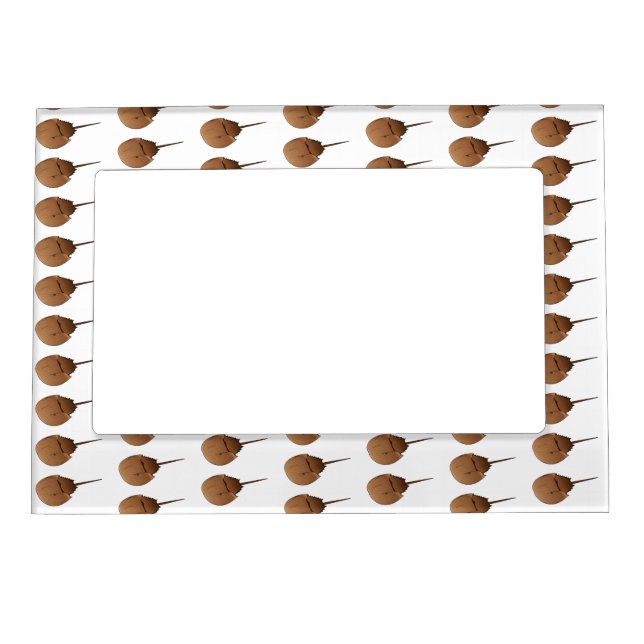 Horseshoe crab cartoon illustration magnetic frame (Front)