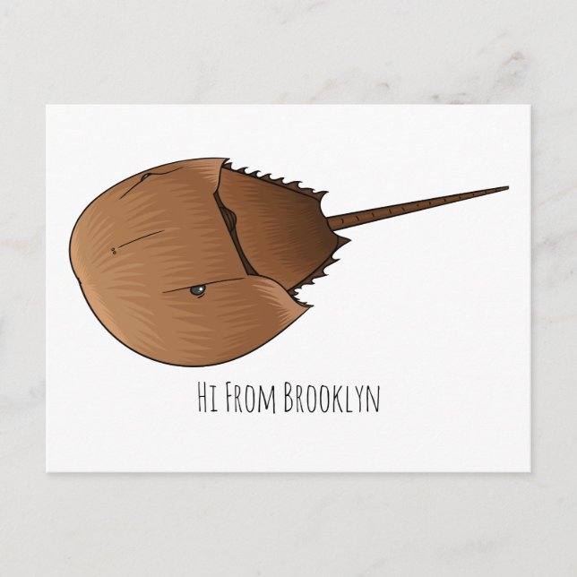 Horseshoe crab cartoon illustration postcard (Front)