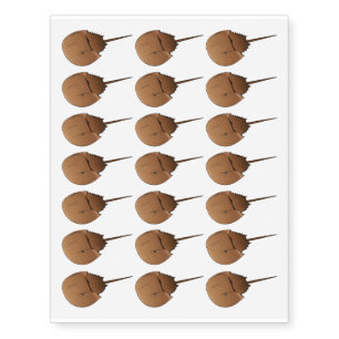 Horseshoe crab cartoon illustration temporary tattoos