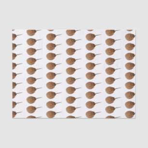 Horseshoe crab cartoon illustration tissue paper