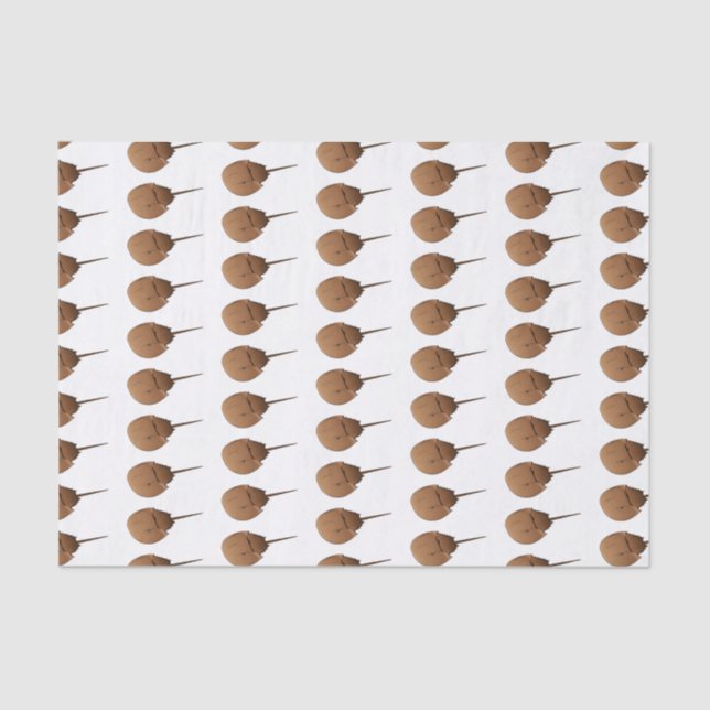 Horseshoe crab cartoon illustration  tissue paper (Front)