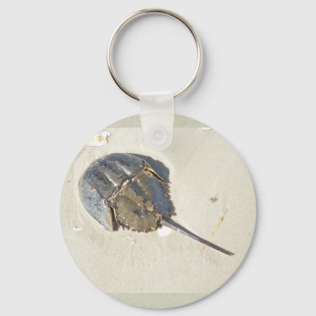 Horseshoe Crab Keychain