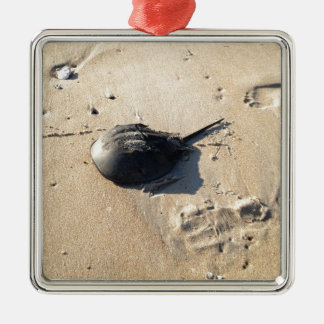horseshoe crab metal ornament