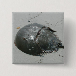 Horseshoe Crab Pinback Button