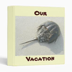 Horseshoe Crab Summer Vacation Binder
