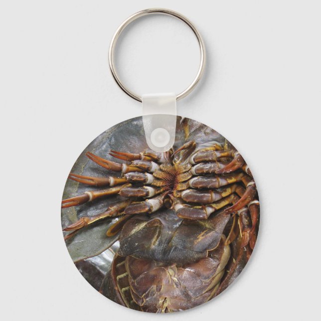 Horseshoe Crab ... Thai Asian Street Food Keychain (Front)