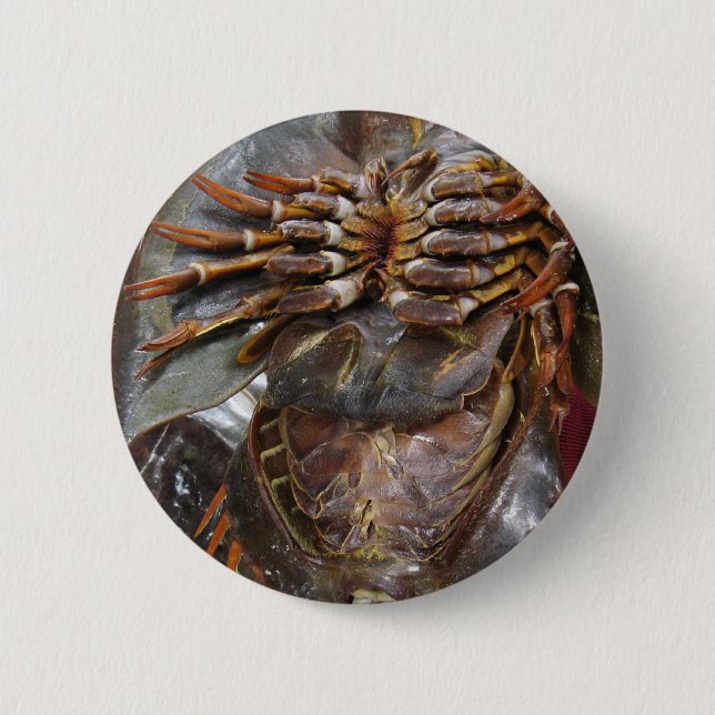 Horseshoe Crab ... Thai Asian Street Food Pinback Button (Front)