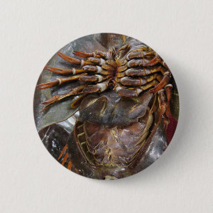 Horseshoe Crab ... Thai Asian Street Food Pinback Button