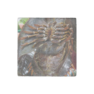 Horseshoe Crab ... Thai Asian Street Food Stone Magnet