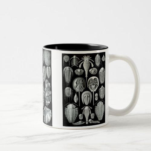 Horseshoe Crabs Trilobites  Snails Two_Tone Coffee Mug