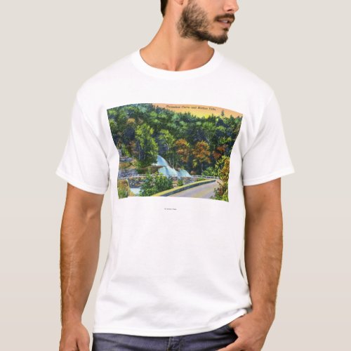 Horseshoe Curve View of Bastion Falls T_Shirt