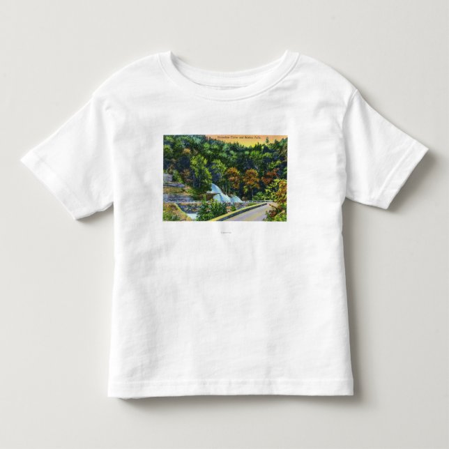 Horseshoe Curve View of Bastion Falls Toddler T-shirt (Front)