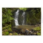 Horseshoe Falls, Matai Falls (Front Horizontal)