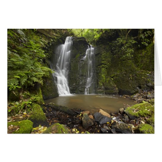 Horseshoe Falls, Matai Falls Cards (Front Horizontal)