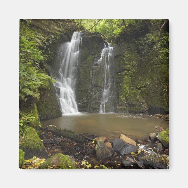 Horseshoe Falls, Matai Falls Magnet (Front)