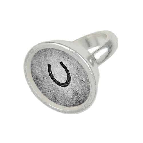 Horseshoe in Black and Gray Ring