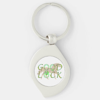 horseshoe keychain