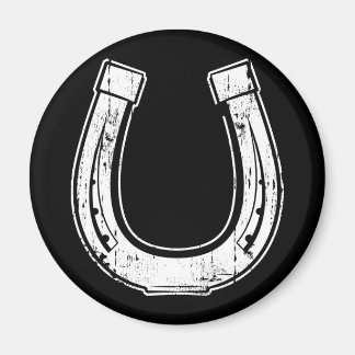 horseshoe magnet