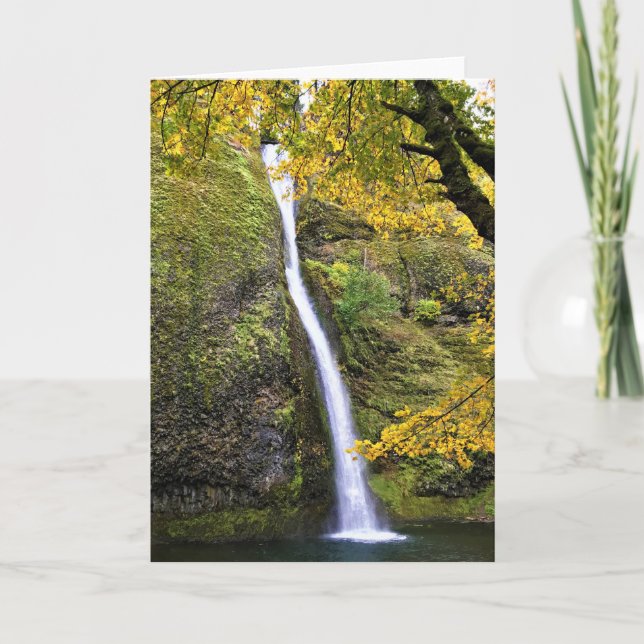 Horsetail Falls, Columbia River Gorge, Oregon Card (Front)