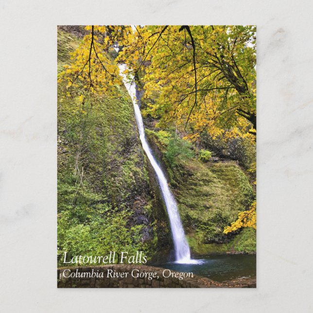 Horsetail Falls, Columbia River Gorge, Oregon Post Postcard (Front)