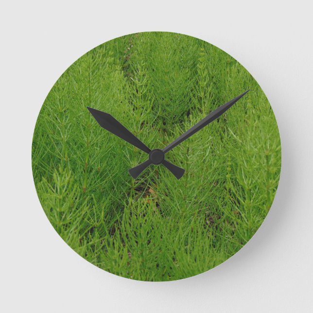 Horsetail Ferns Round Clock (Front)