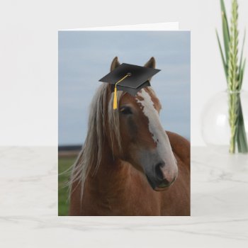 Horsey Graduation Card by janemd_78 at Zazzle