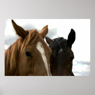 horsey love poster
