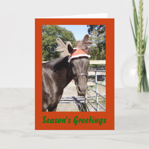 Horsey Season's Greetings Holiday Card