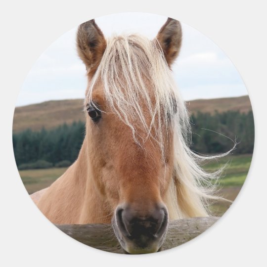 Horsie Classic Round Sticker