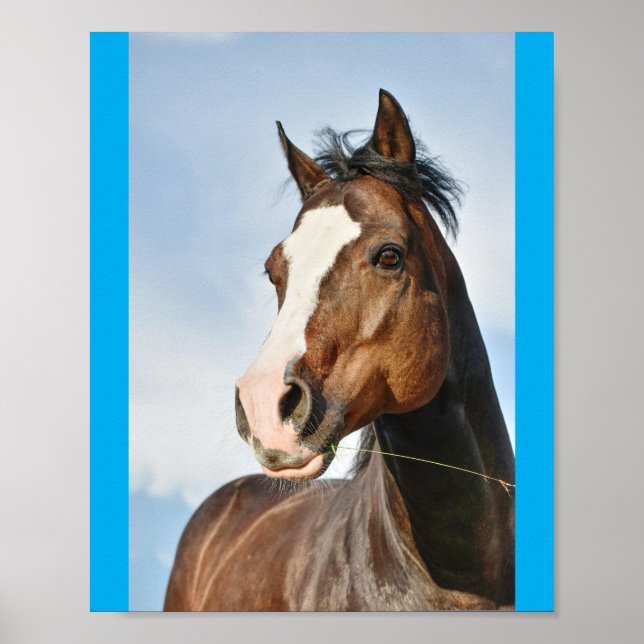 horsie cute poster (Front)