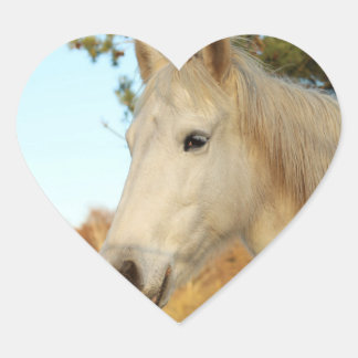 horsie  heart sticker