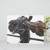 Horsing Around (Standing Front)