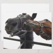 Horsing Around (Front/Back)