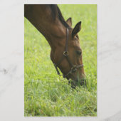 Horsing Around (Front)