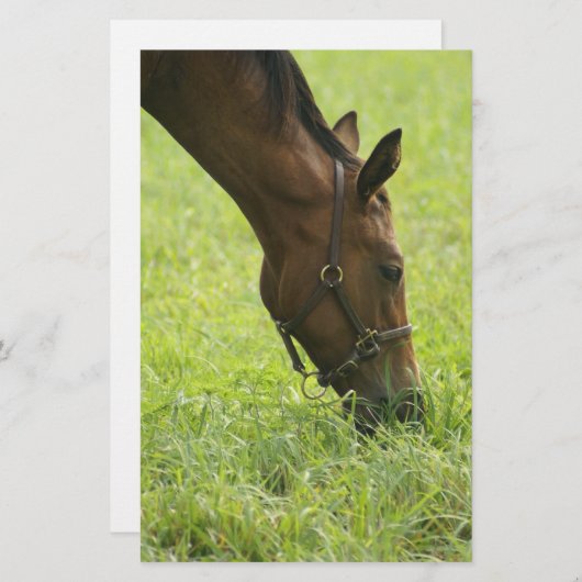 Horsing Around (Front/Back)