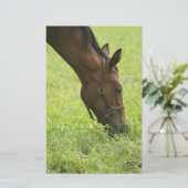 Horsing Around (Standing Front)