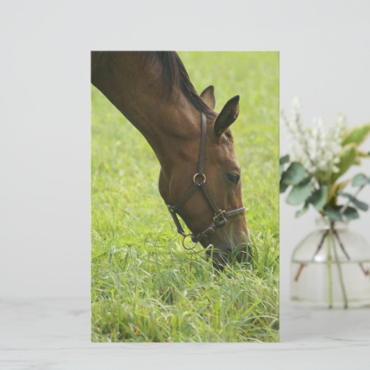 Horsing Around (Standing Front)